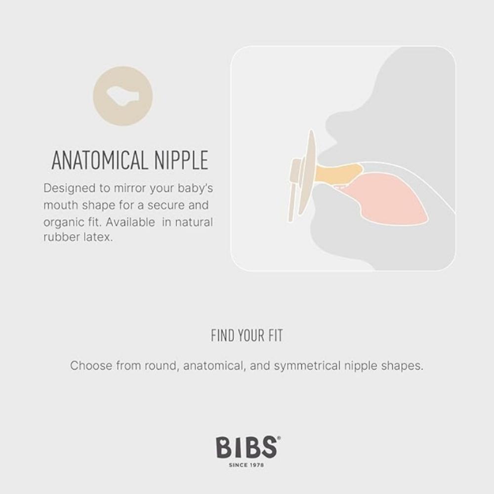 Bibs - Latex Anatomical Pacifiers 6M - Blush/Woodchuck - Pack of 2 - Size2