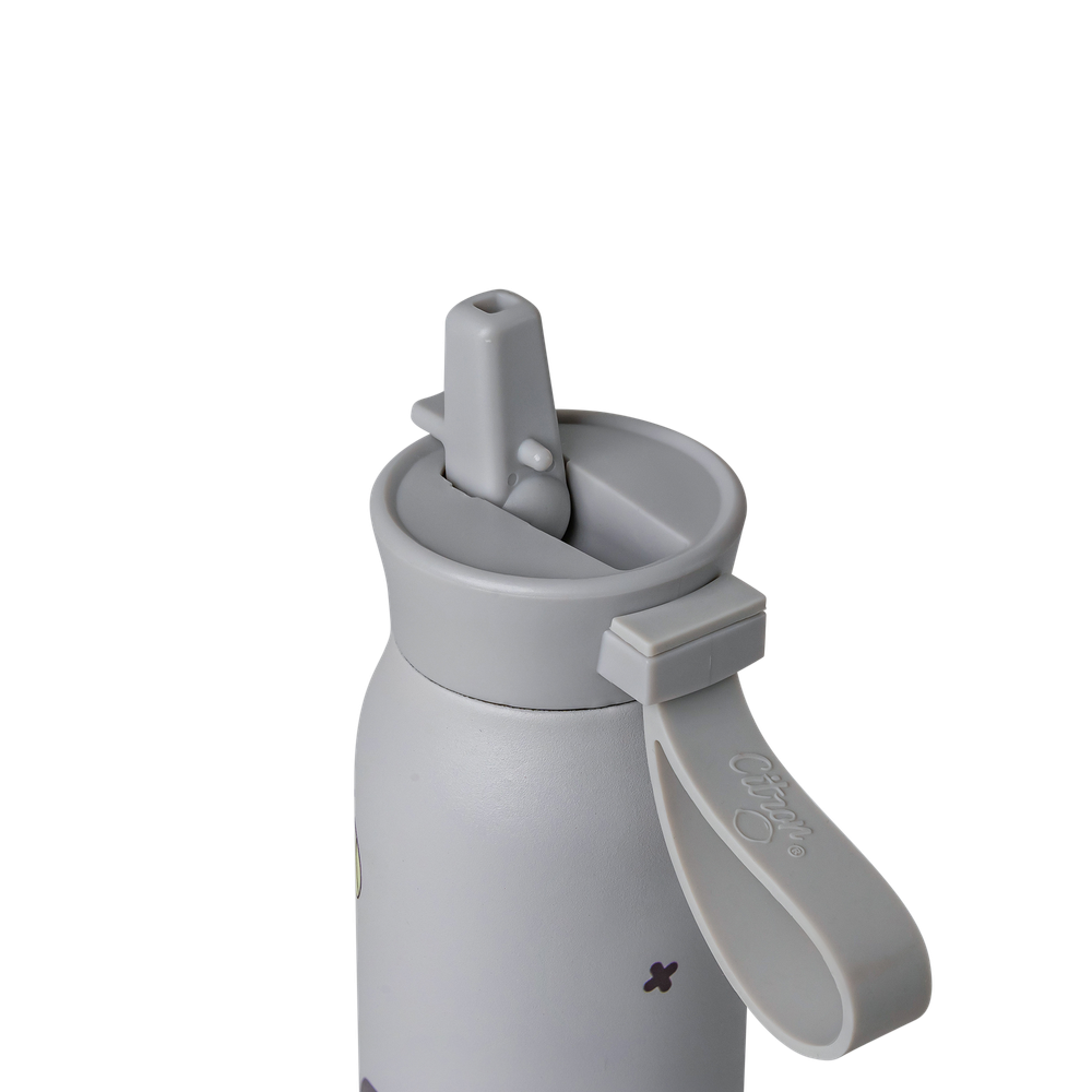 Citron - Game On Stainless Steel Water Bottle - Grey - 350ml