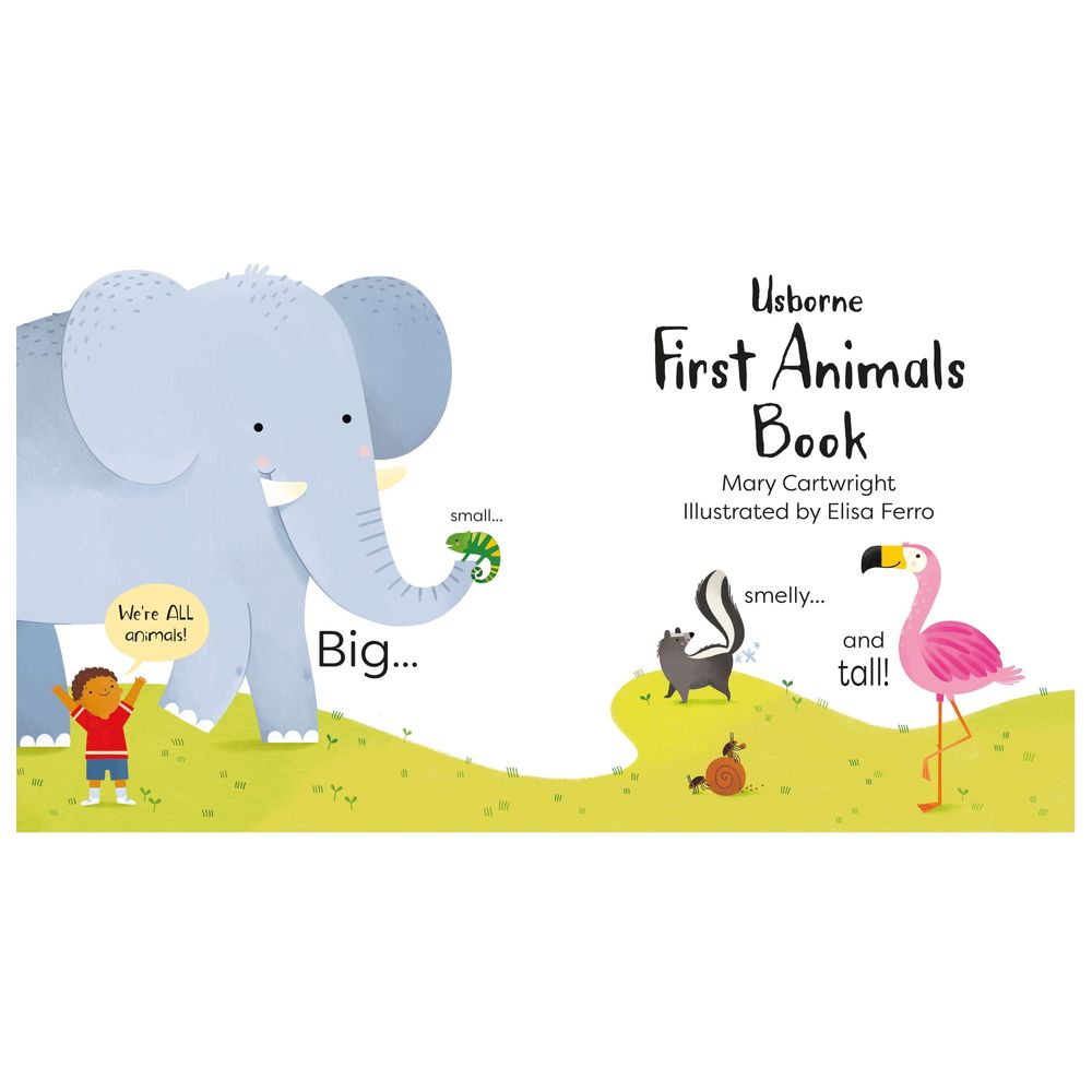 Usborne Books - First Animals Book