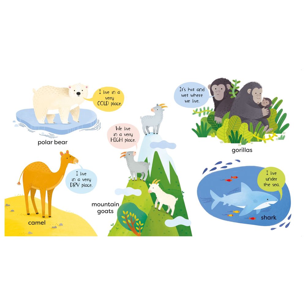 Usborne Books - First Animals Book