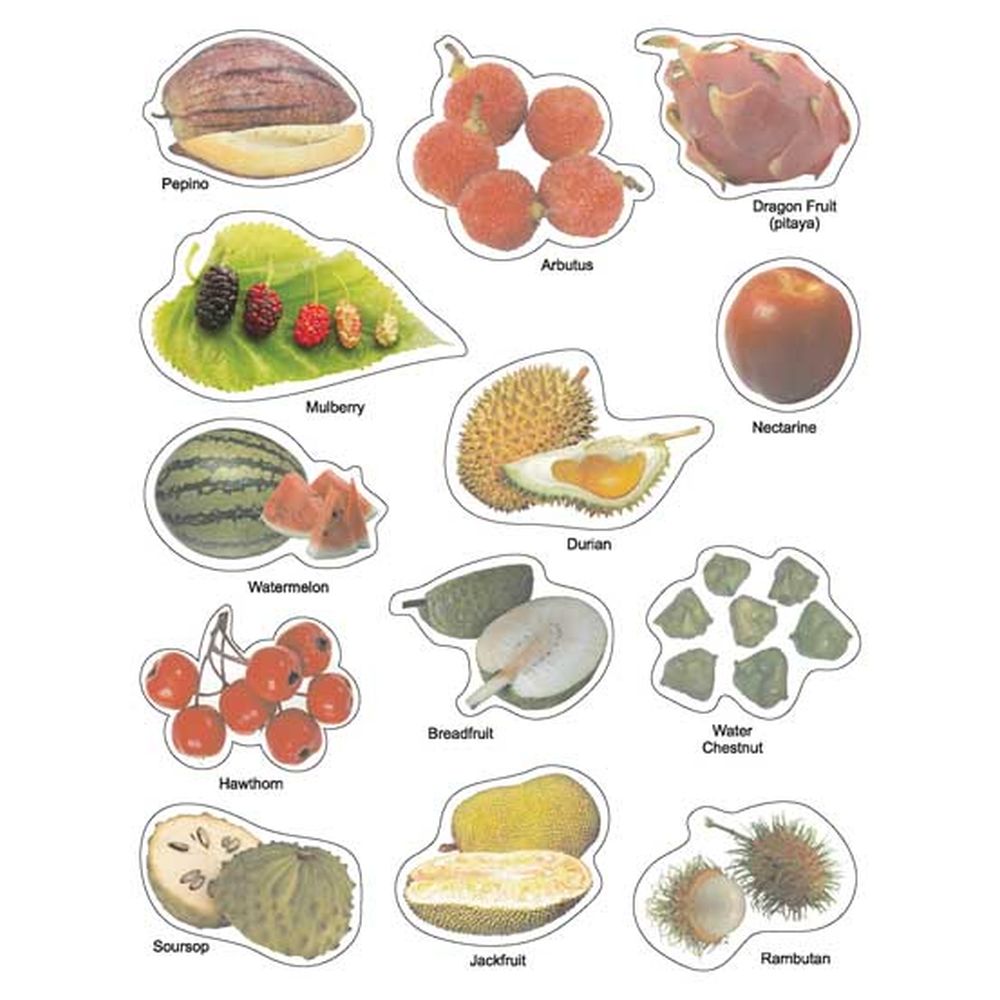Play With Sticker - Fruit