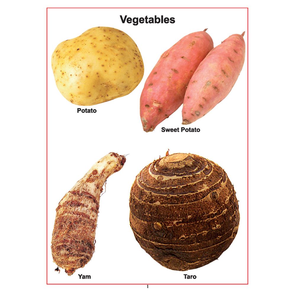 Baby's First Pre-School Series - Vegetables