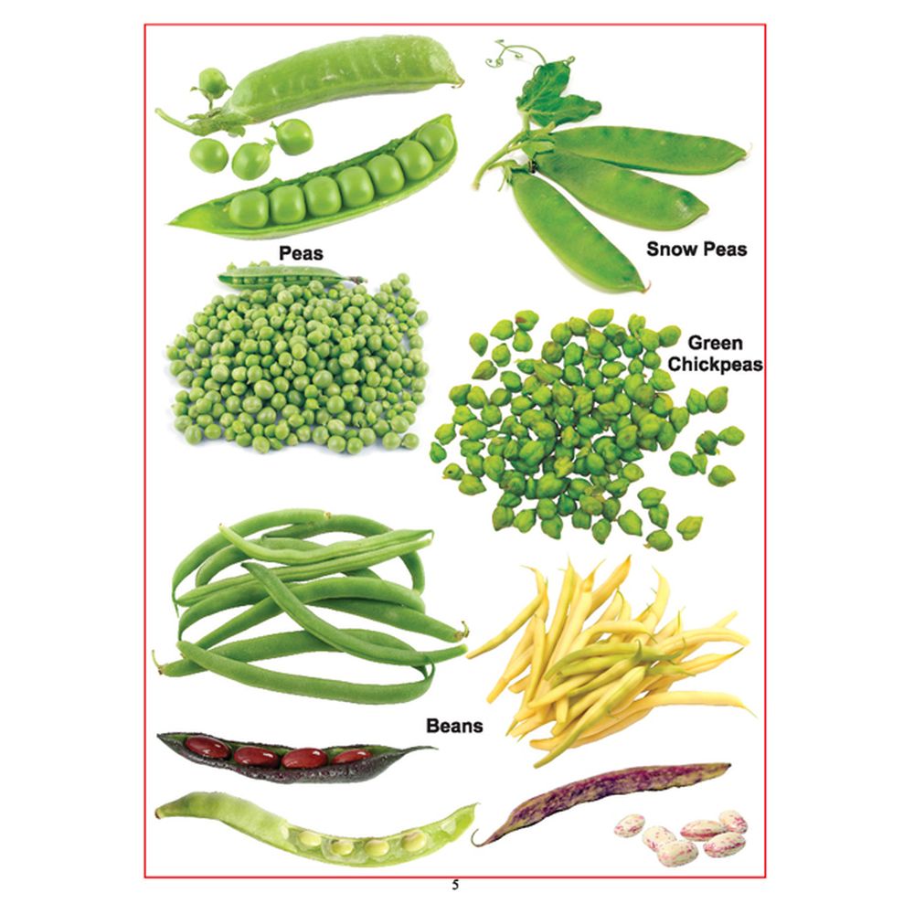 Baby's First Pre-School Series - Vegetables