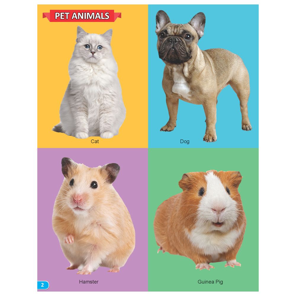 كتاب - My Book Of 101 Animals