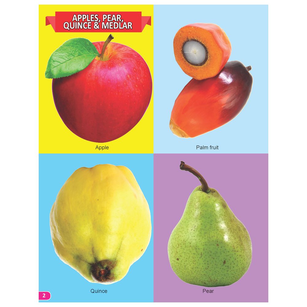 كتاب - My Book Of 101 Fruits