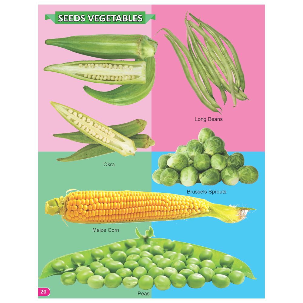 كتاب - My Book Of 101 Vegetables