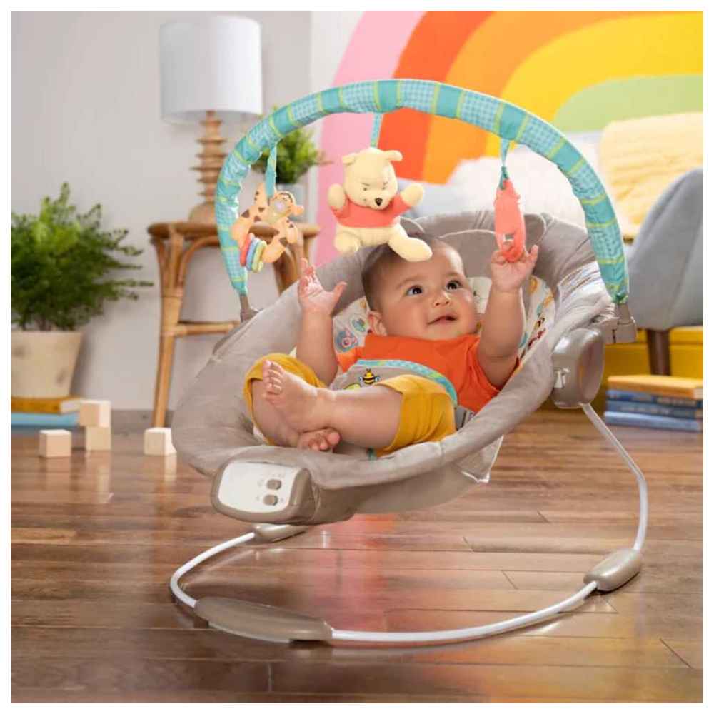 Disney Baby - Winnie The Pooh Dots & Hunny Pots Bouncer - Grey