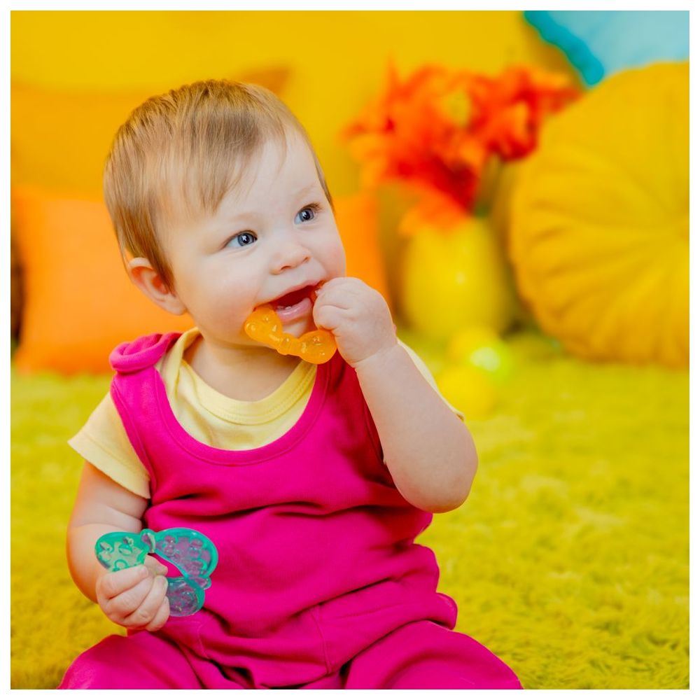 Bright Starts Chill & Teethe Teething Toy