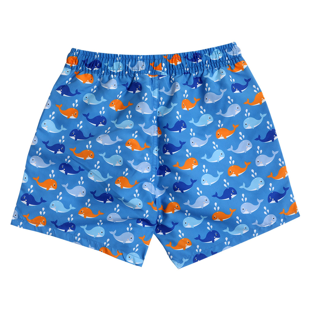 Cool2c Boys Whale Board Shorts - Blue