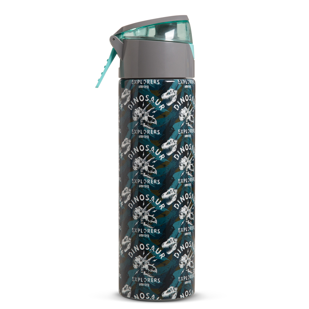 Eazy Kids - Insulated  Stainless Steel Water Bottle with Spray Dinosaurs 640ml - Green