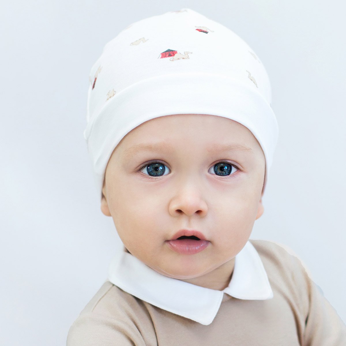 Ellillo - Camelo Hat Boys