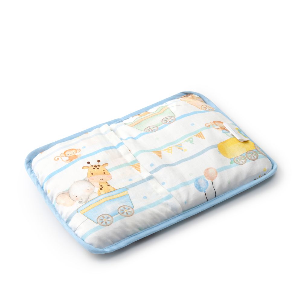 Fancy Fluff - Organic Baby Rai Pillow - Joy Ride