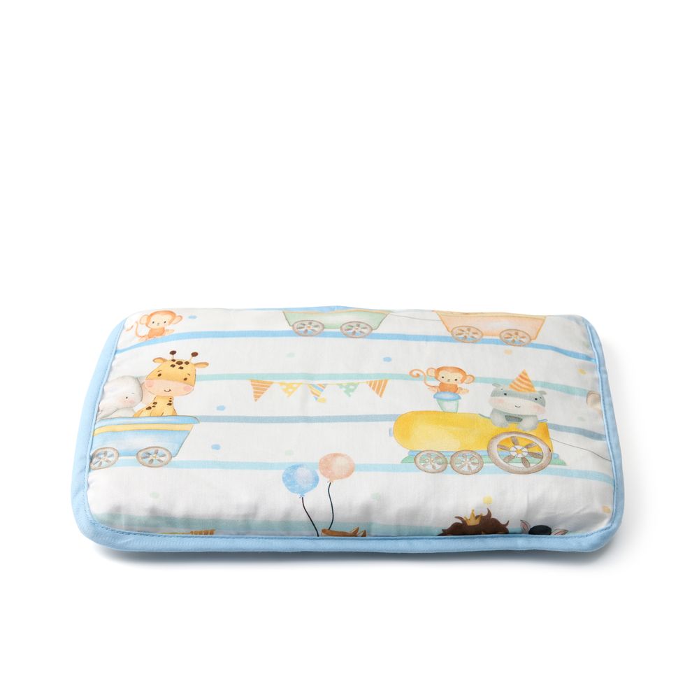 Fancy Fluff - Organic Baby Rai Pillow - Joy Ride