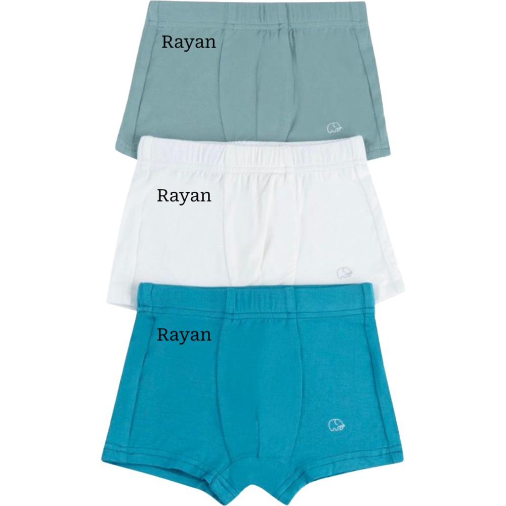 Anvi Baby - 3pc-Set - Personalized Baby Boy's Organic Bamboo Solid Briefs_2-3Y