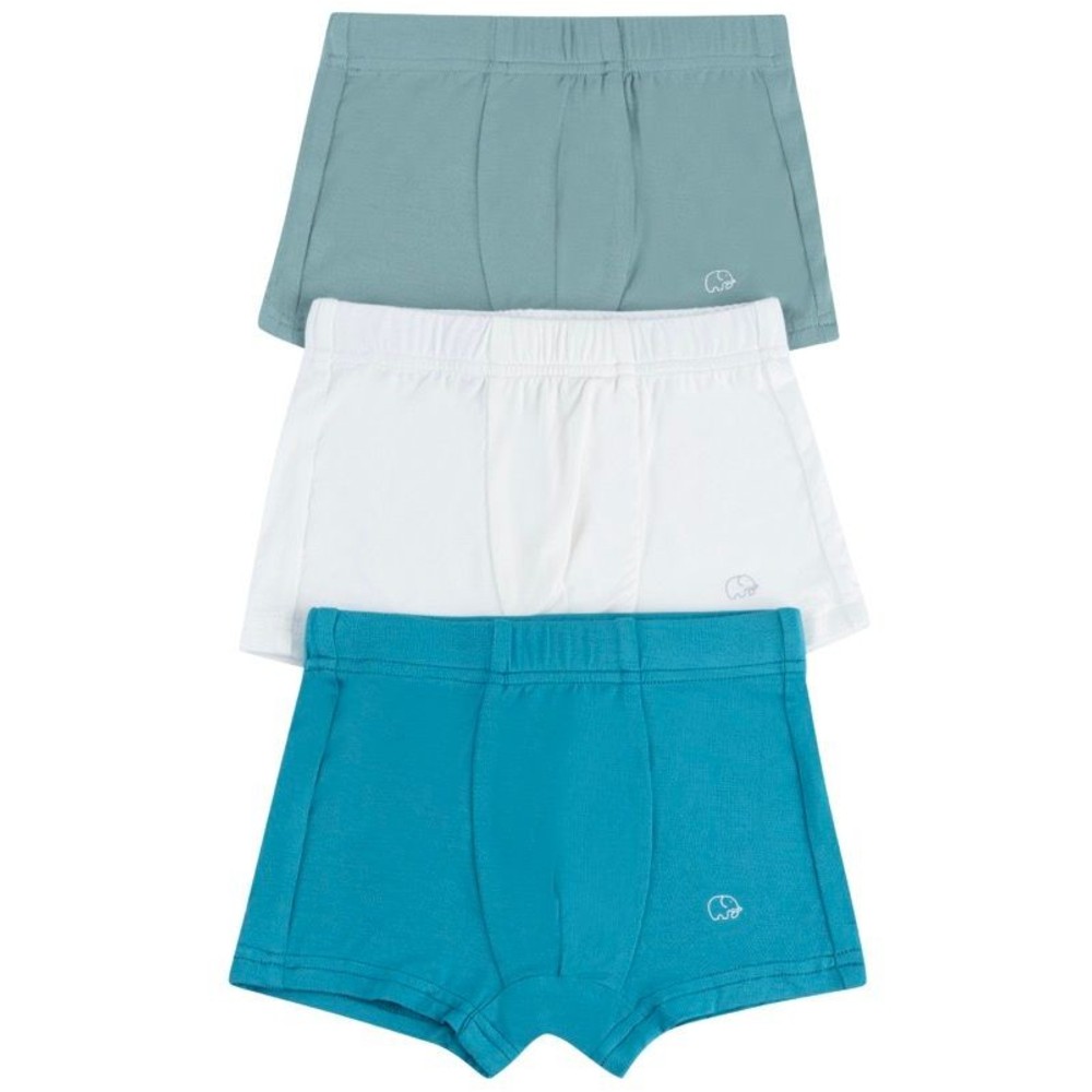 Anvi Baby - 3pc-Set - Personalized Baby Boy's Organic Bamboo Solid Briefs_2-3Y