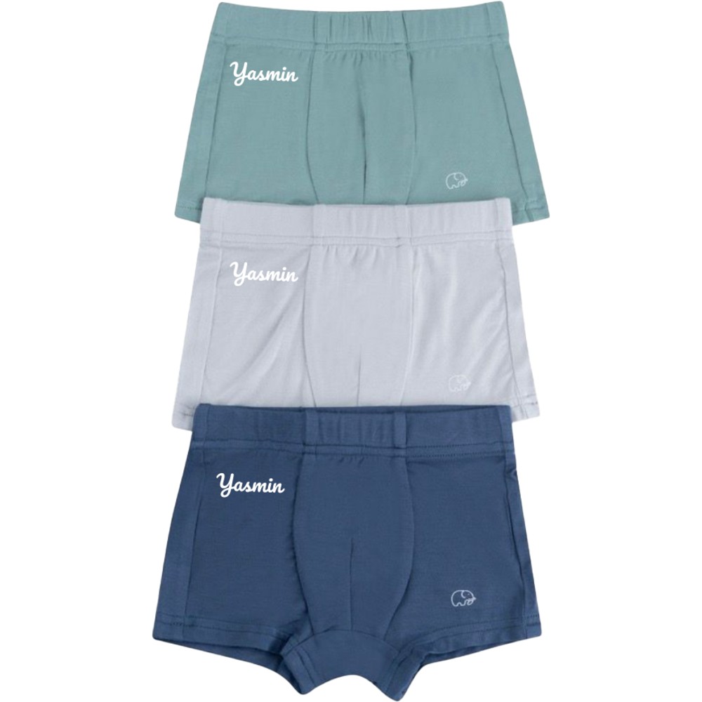 Anvi Baby - 3pc-Set - Personalized Baby Boy's Organic Bamboo Briefs _2-3Y