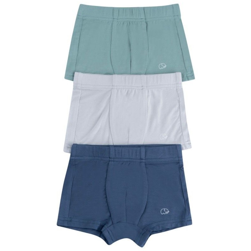 Anvi Baby - 3pc-Set - Personalized Baby Boy's Organic Bamboo Briefs _2-3Y