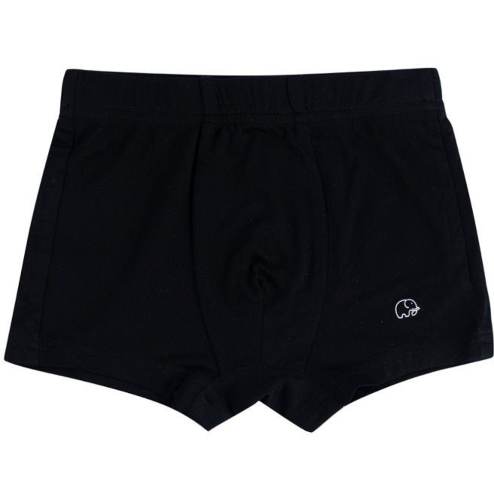 Anvi Baby - 3pc-Set - Personalized Baby Boy's Organic Bamboo Briefs _2-3Y