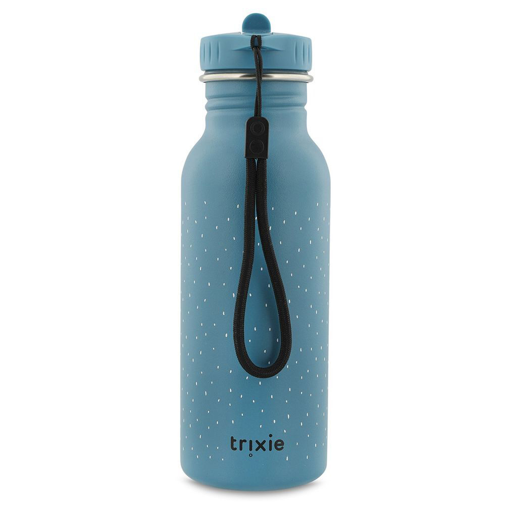Trixie - Personalized Stainless Steel Water Bottle - Mr. Triceratops - 500 ml