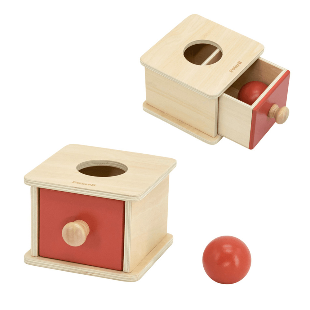 PolarB - Personalized FSC Grow-With-Me Box