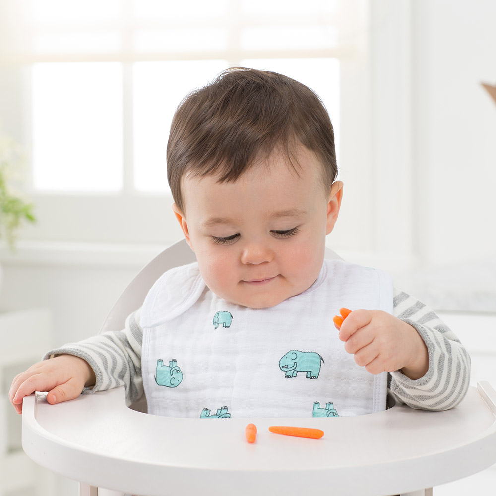 Aden + Anais - 3pc-Set - Personalized Cotton Muslin Snap Bibs - Jungle Jam