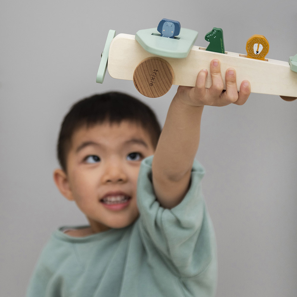 Trixie - Personalized Wooden Animal Airplane