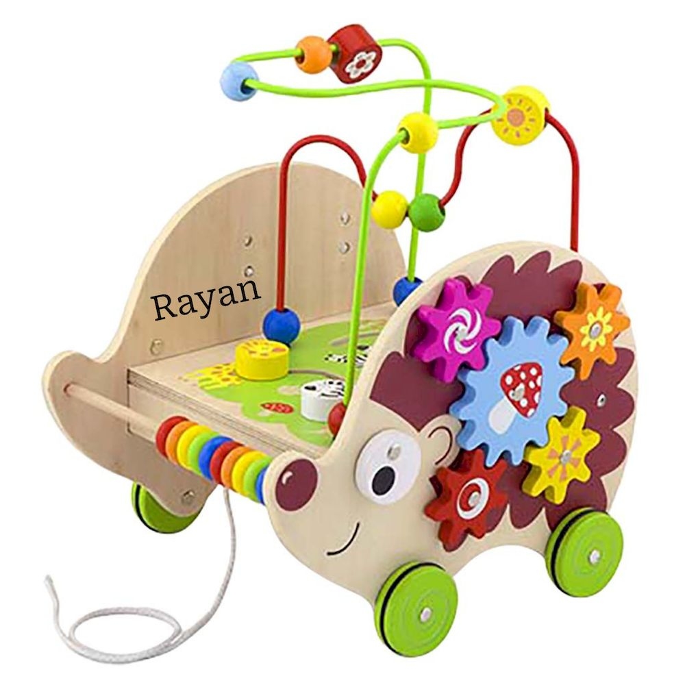 Viga - Personalized 5-In-1 Pull Along Activity Hedgehog - Multicolor
