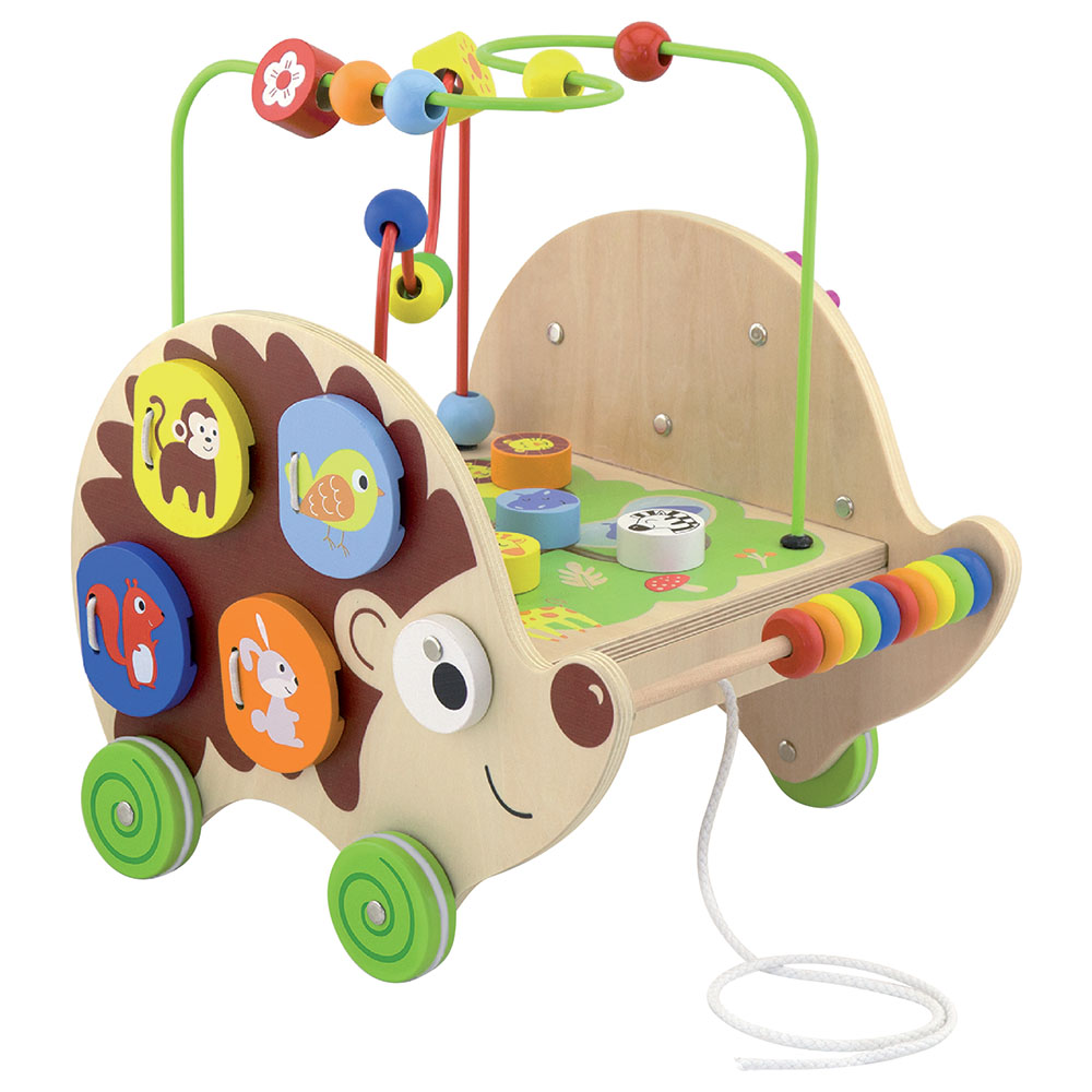 Viga - Personalized 5-In-1 Pull Along Activity Hedgehog - Multicolor