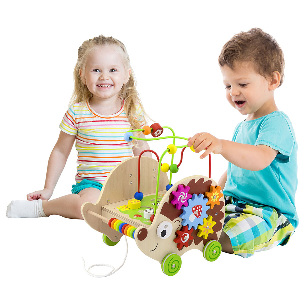 Viga - Personalized 5-In-1 Pull Along Activity Hedgehog - Multicolor