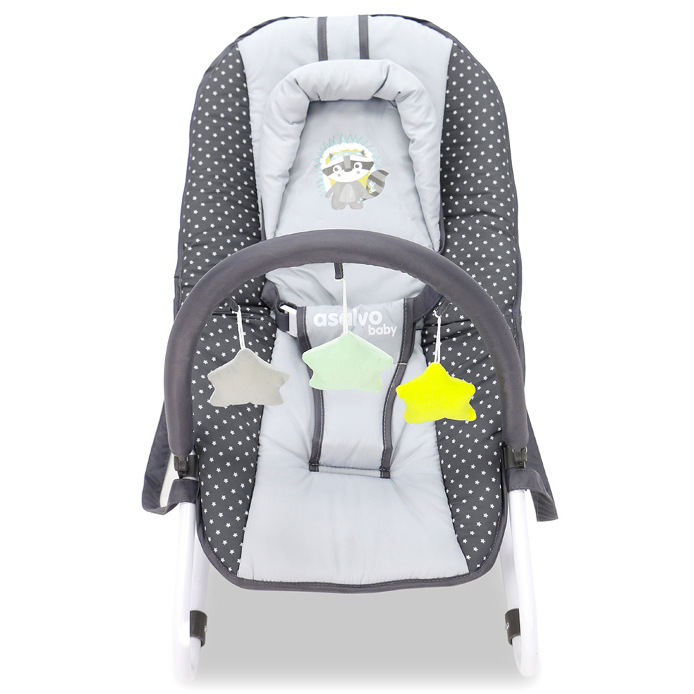 Asalvo - Personalized Baby Bouncer - Baby Raccoon