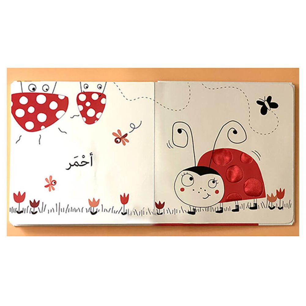 Dar Rabie Publishing - Colours Touch and Feel Book