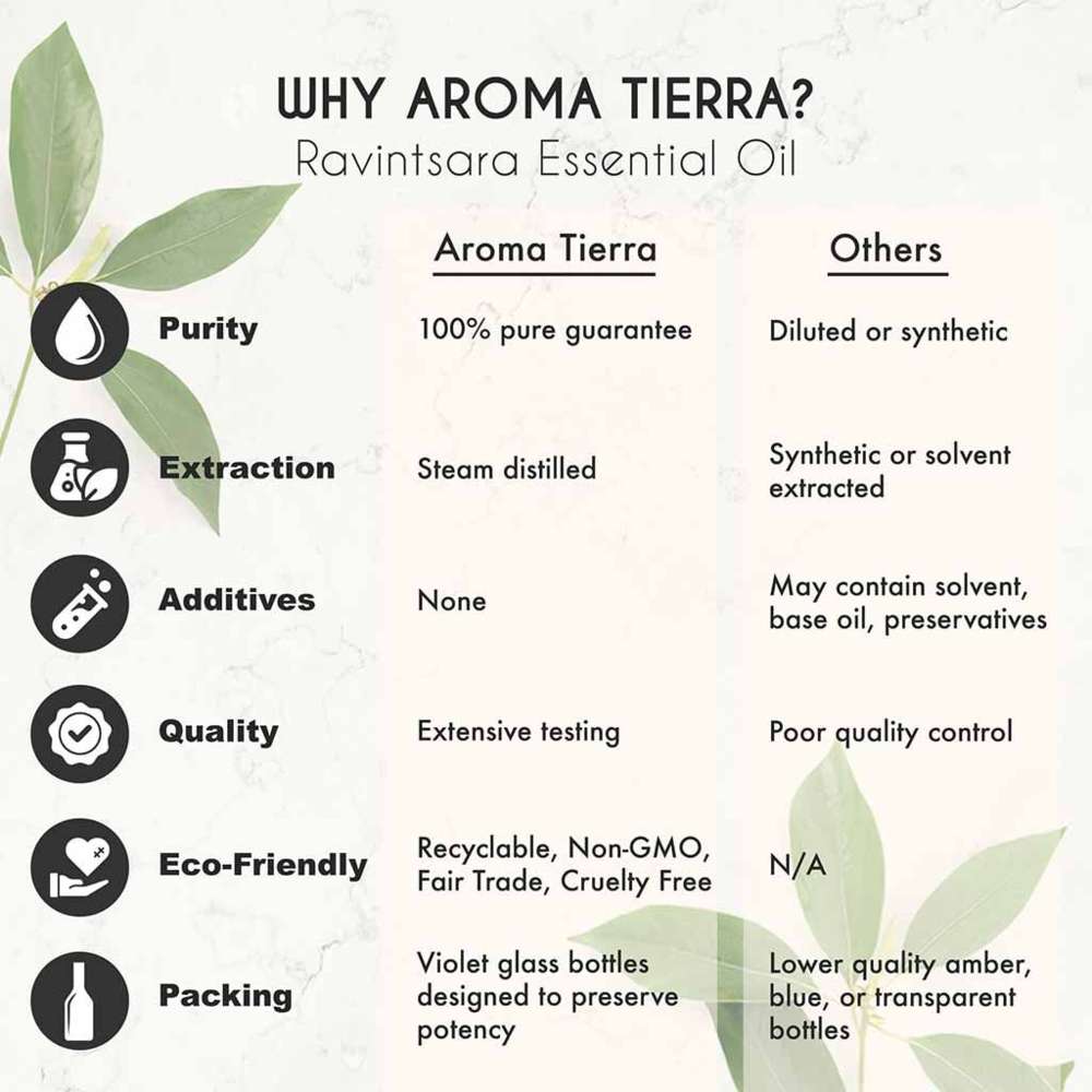 Aroma Tierra - Organic Ravintsara Essential Oil - 10ml