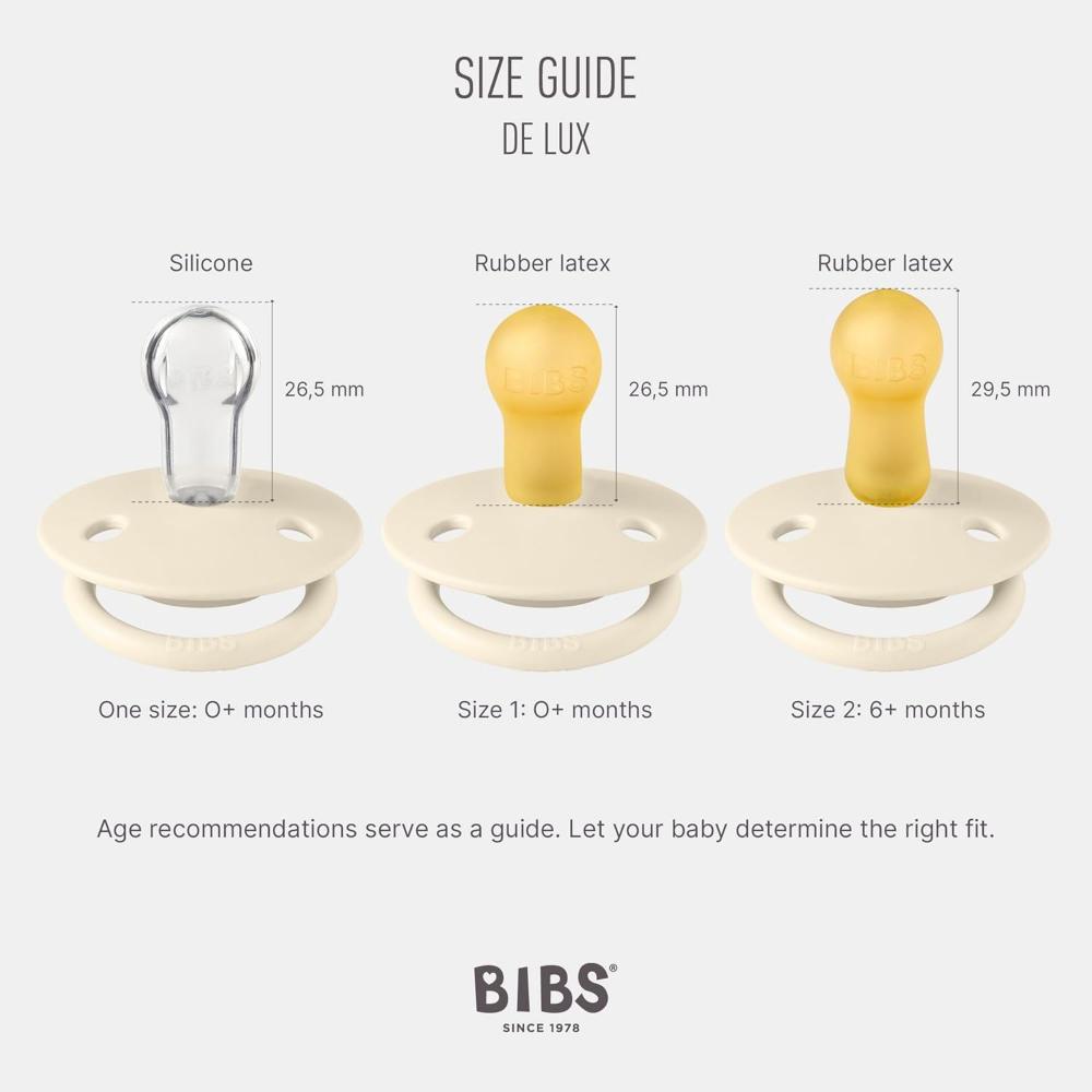 Bibs - Pacifier DeLux Silicone - 0-3Y - Pack of 2 - Haze/Blossom