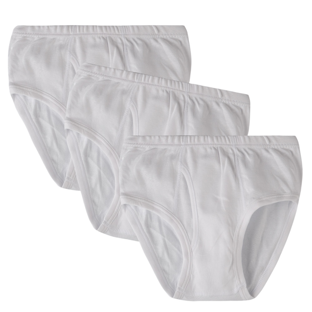 Zebra Crossing T-Shirtn Boy's Brief - White - 3 Pcs