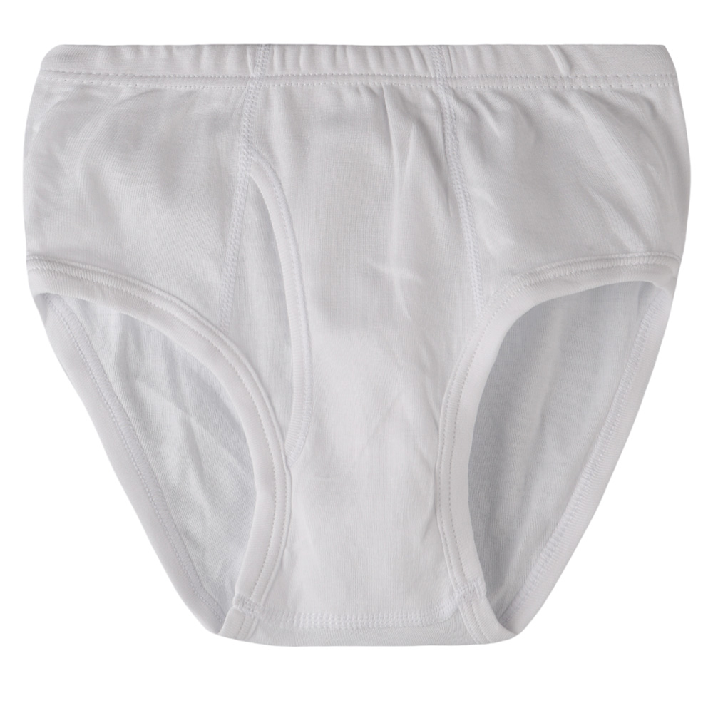 Zebra Crossing T-Shirtn Boy's Brief - White - 3 Pcs
