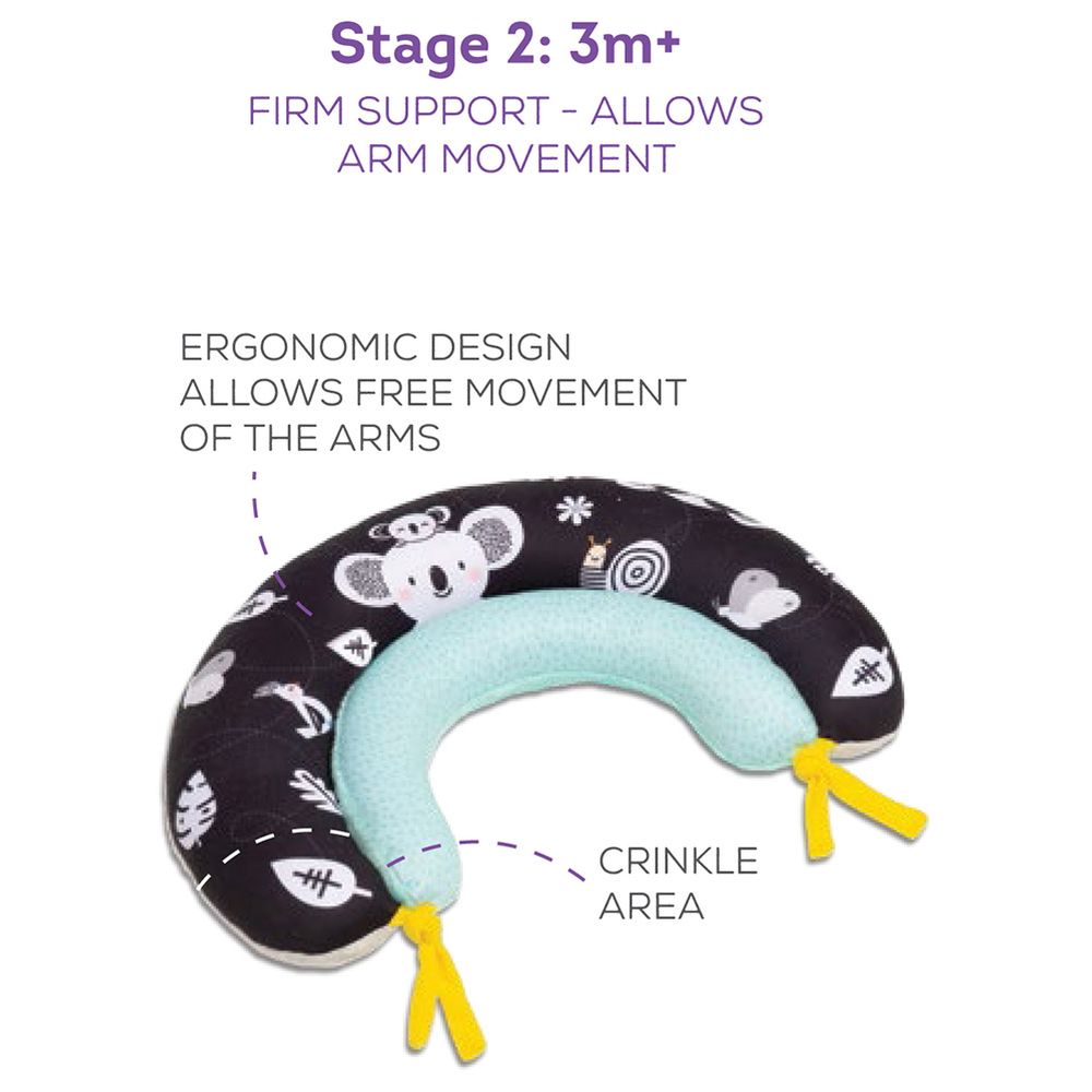 Taf Toys 2-in-1 Tummy-Time Soft Baby Developmental Pillow