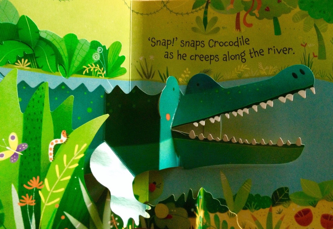 كتب أسبورن-  كتاب "Pop up Jungle"  