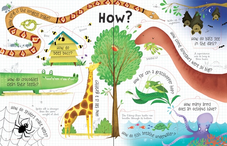 كتب أسبورن-  كتاب "Lift the Flap Questions and Answers about Animals"  
