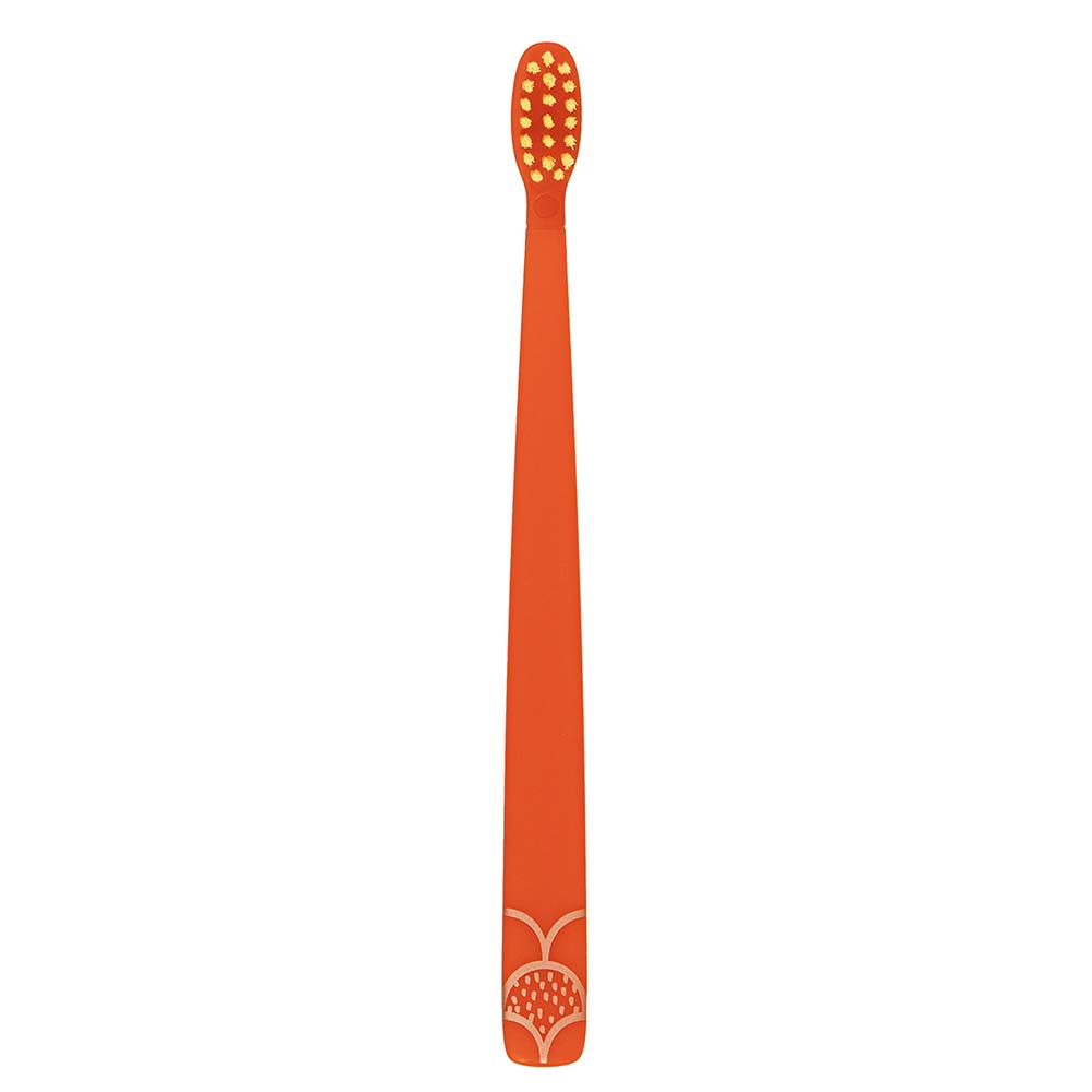Flipper - Toothbrush Twigo Kids 2-in-1 - Orange/Blue - Pack of 2