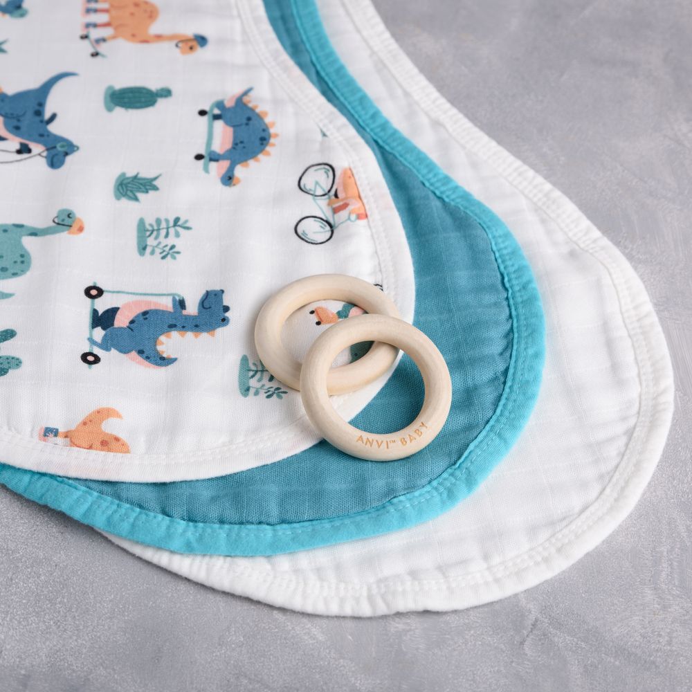 Anvi Baby Dino Circus Burp & Bib Cloth - Pack of 3