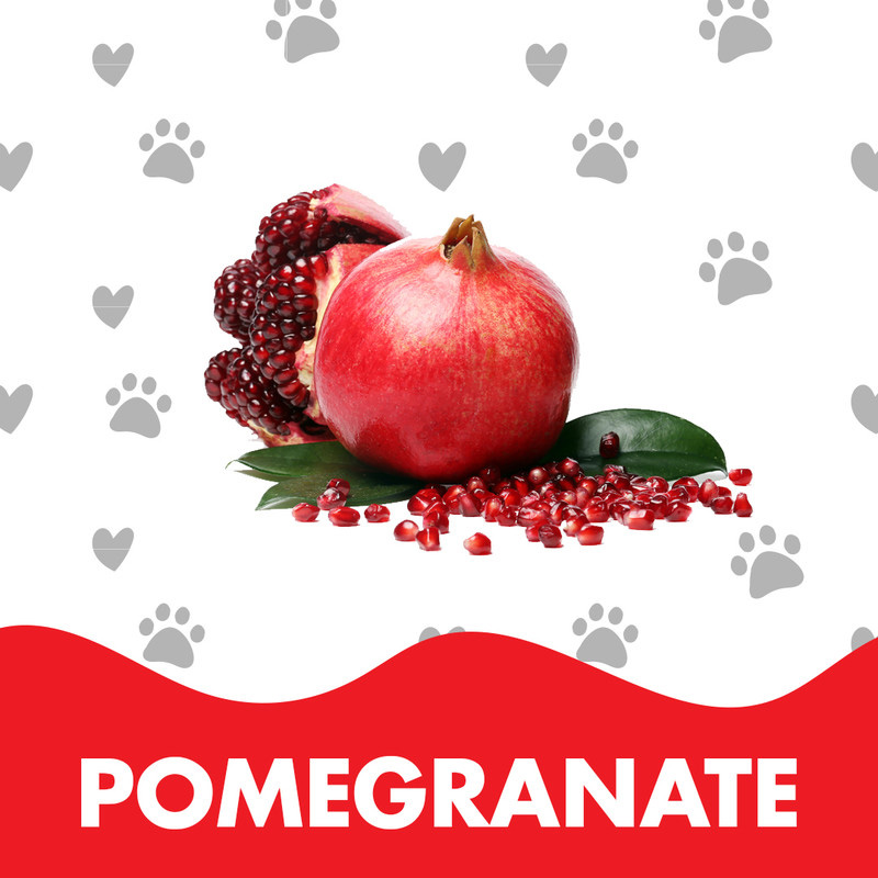 Doctor Pet Pomegranate Cologne 400ML – Hypoallergenic
