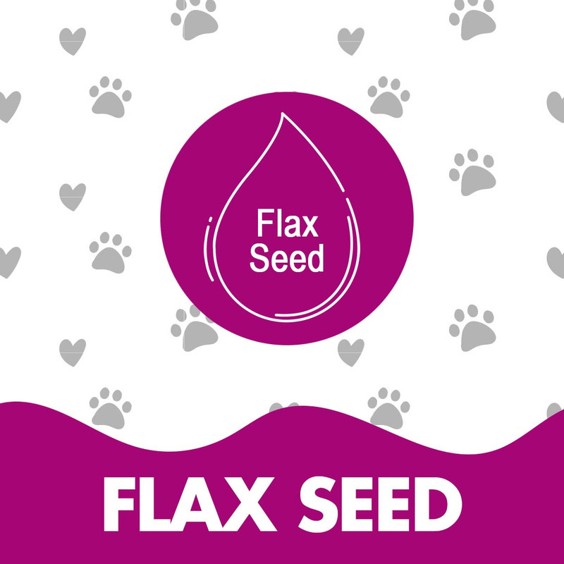 Doctor Pet Dog Shampoo 400ML – Flax Seed & Grape Seed