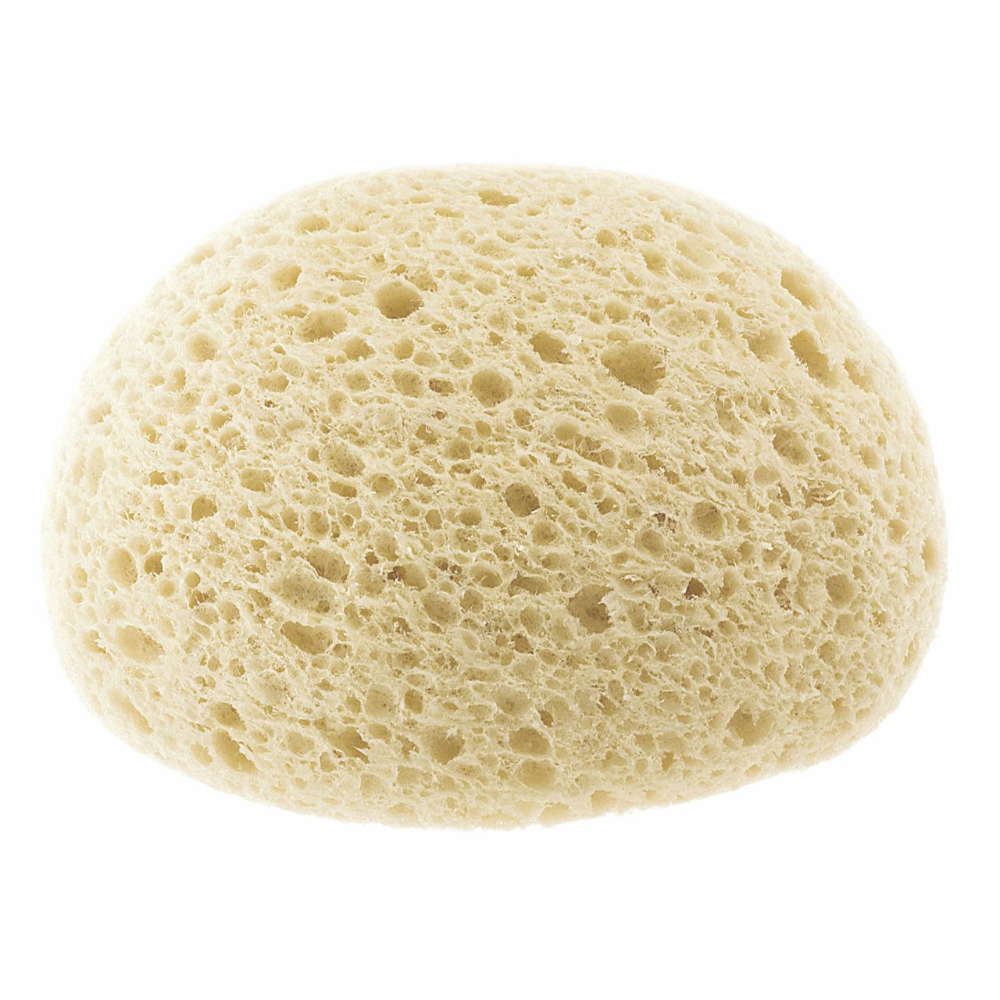Chicco - Extra-Absorbent Sponge