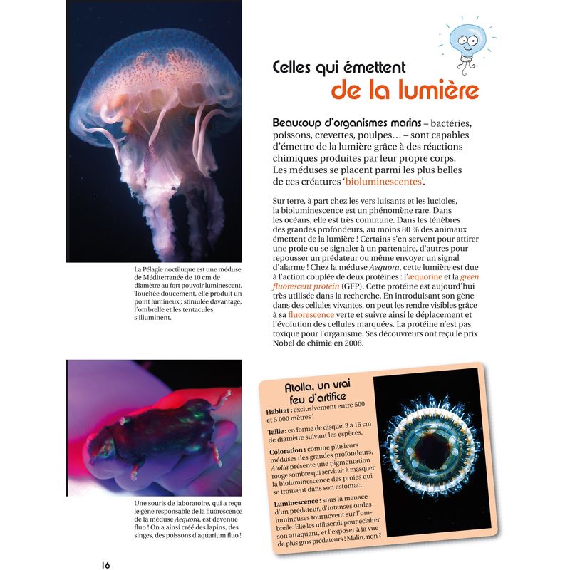 Jellyfish, These Strange Animals