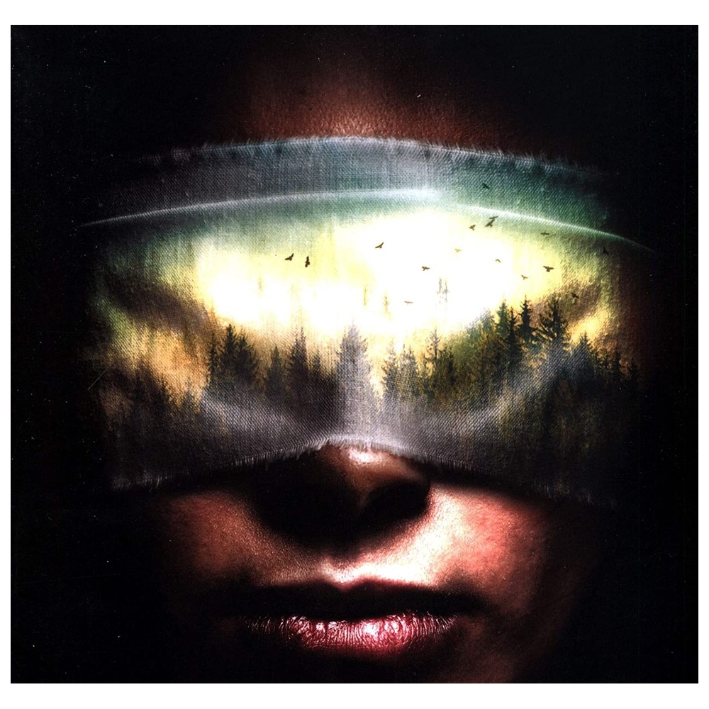 Malorie: The Much-Anticipated Bird Box Sequel