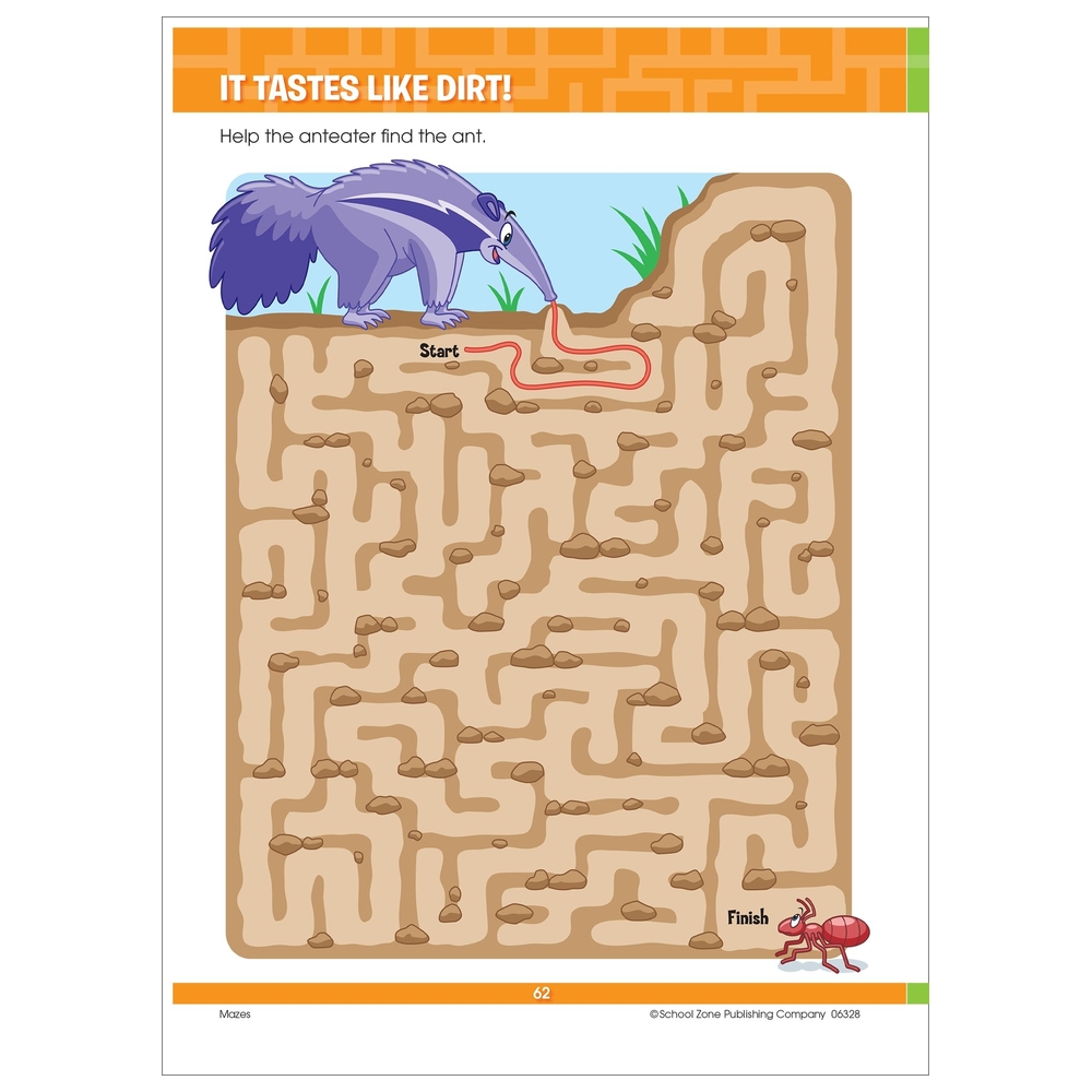 Big Mazes & More! Workbook