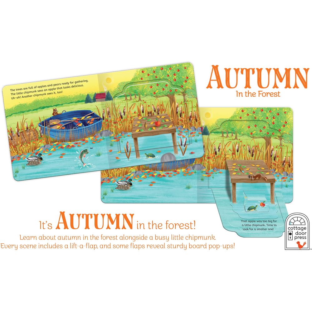  كتاب autumn in the forest