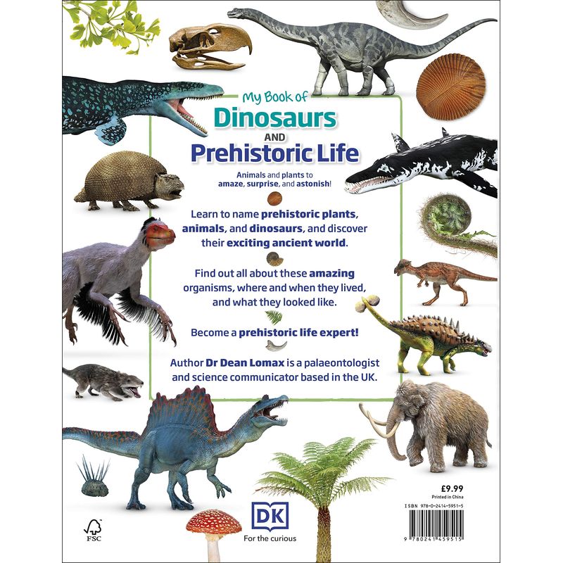 My Book Of Dinosaurs And Prehistoric Life