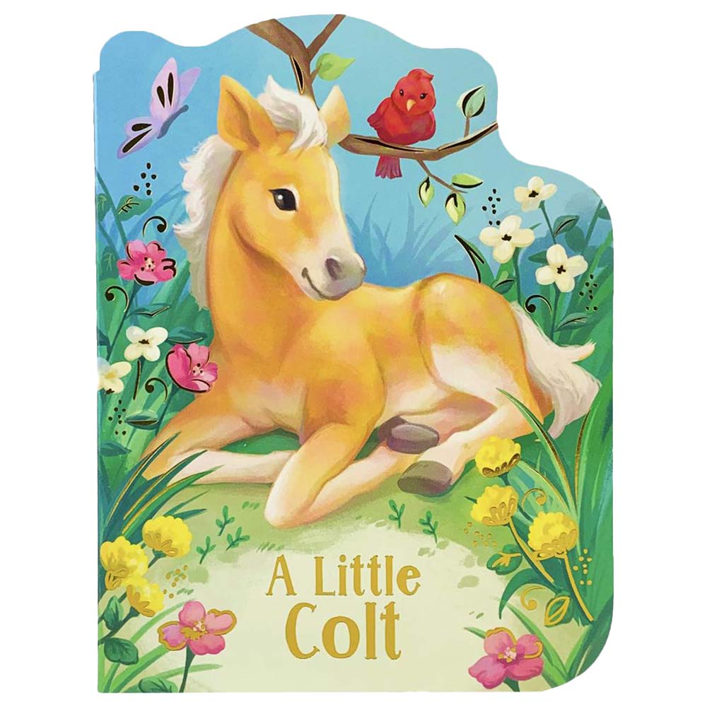  كتاب a little colt