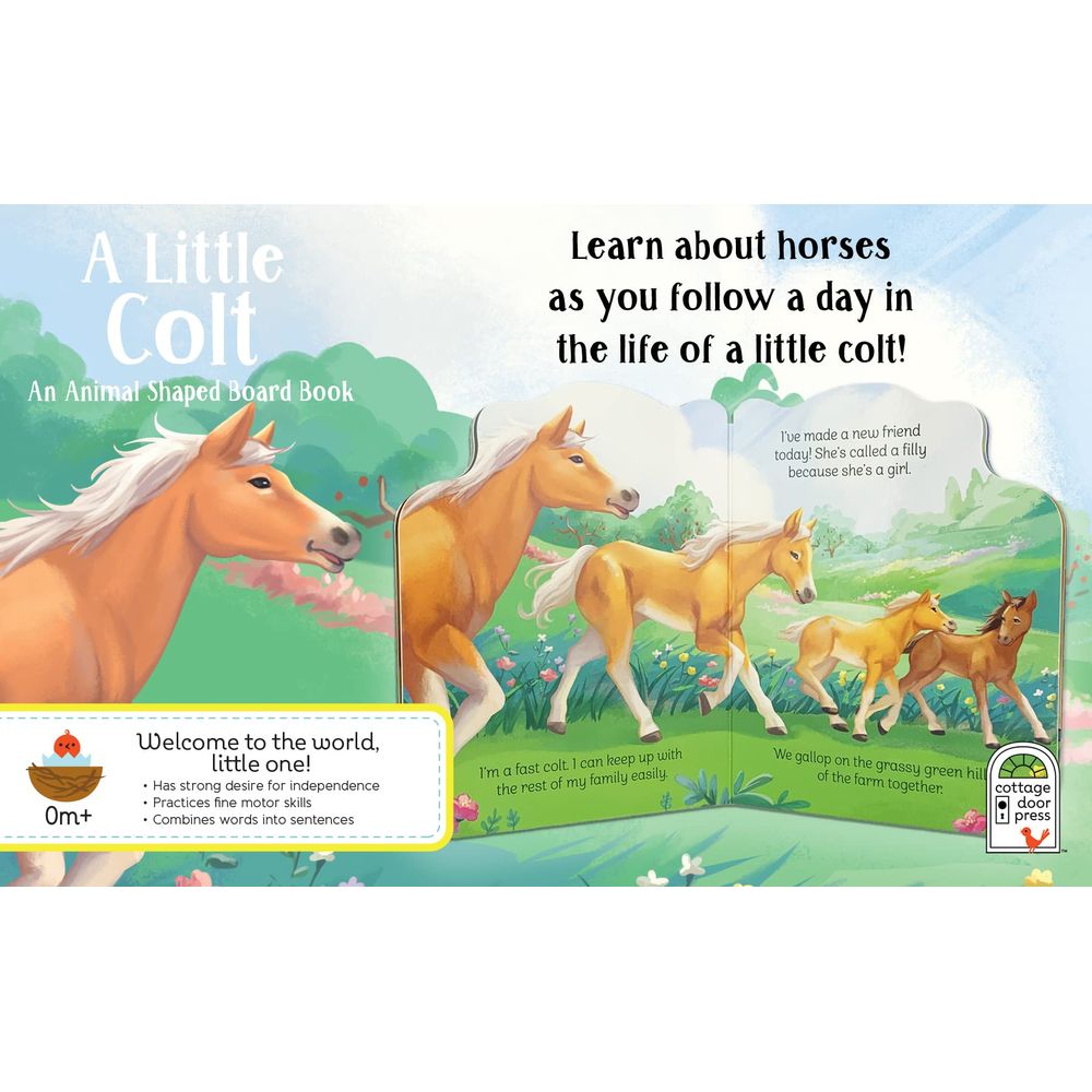  كتاب a little colt